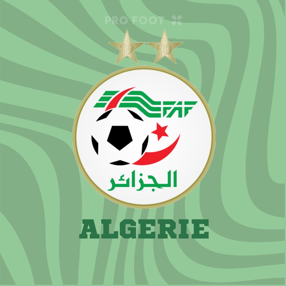 Maillot Algerie Football pour Supporter - Maillot Foot Algerie 2 étoiles ( Maillot Noir/Vert, XS) : : Mode