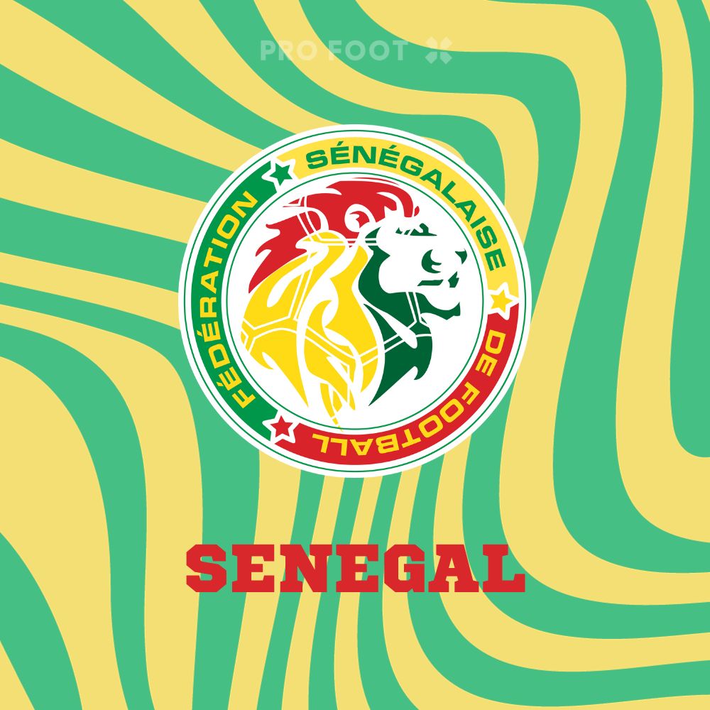 Maillot sans-manches Senegal CAN 2024 FtblCulture