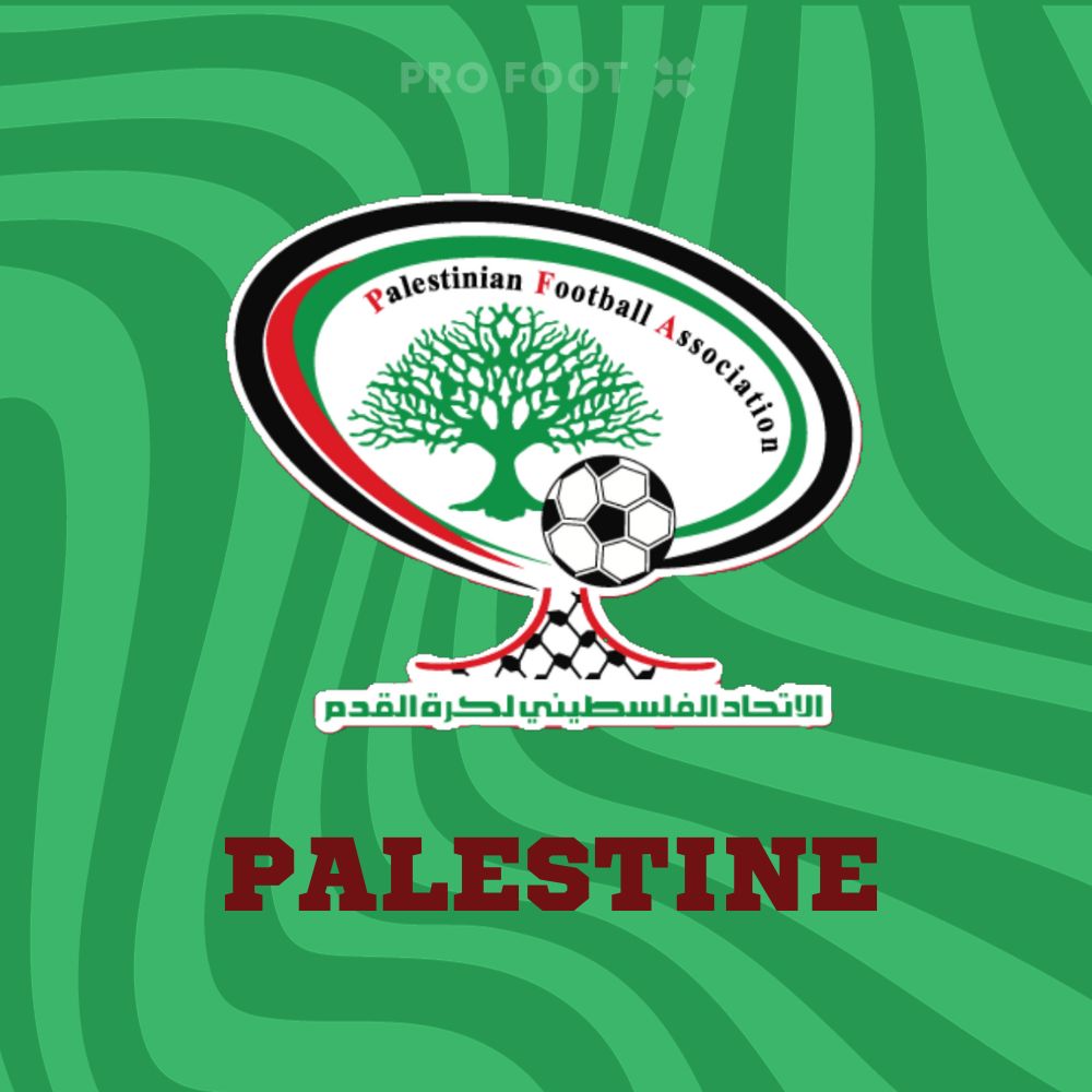 Maillots Palestine