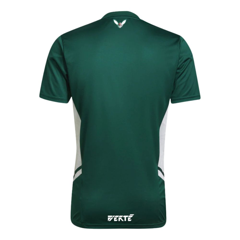 Algerien x Palästina Grünes Trikot 23/24