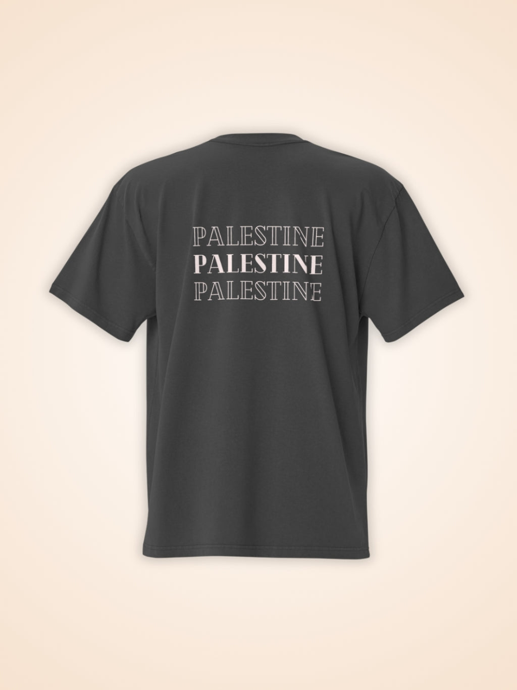 T-Shirt à manches courtes noir Palestine Outline - View 3