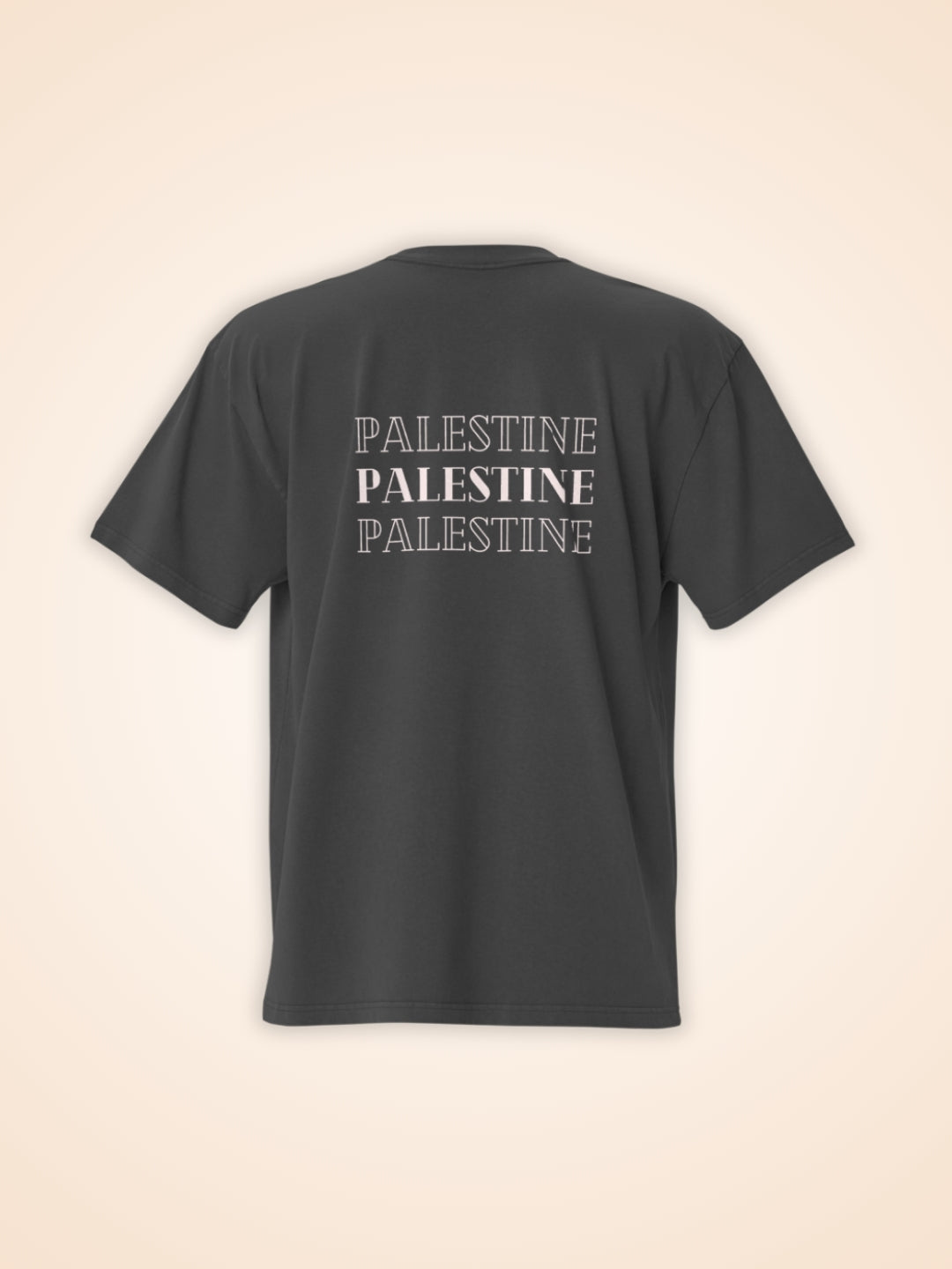 T-Shirt à manches courtes noir Palestine Outline - View 3