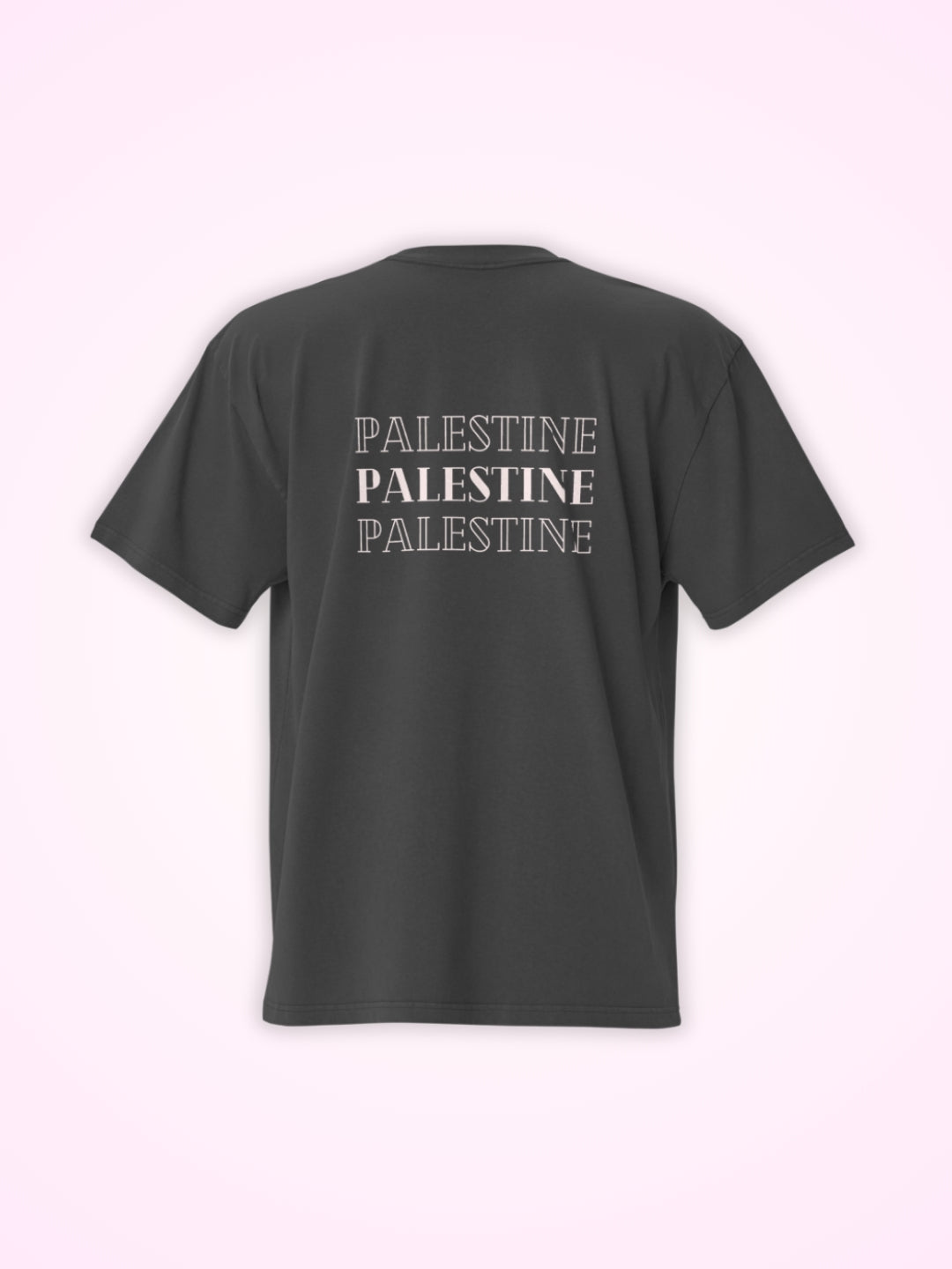 T-Shirt Noir Palestine Outline pour Femme - View 3