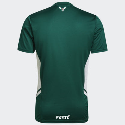 Algerien x Palästina Grünes Trikot 23/24